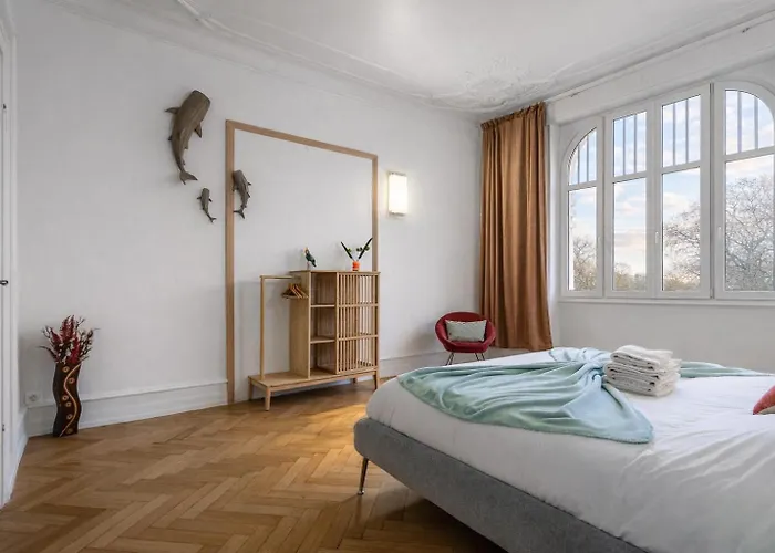 Apartment De Luxe Au Centre De Strasbour Strasbourg